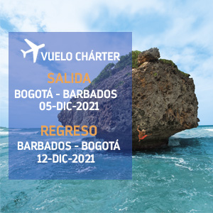Vuelo Charter - Cruceros Diciembre 2021