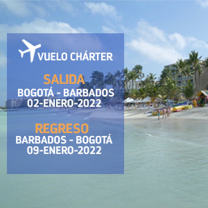 Vuelo Charter -  Cruceros Enero 2022