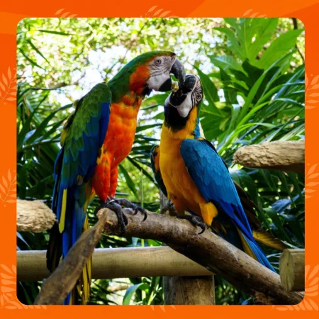 biodiversidad de América